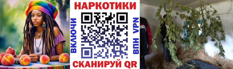 Какие есть наркотики Каменногорск ГАШ  Марихуана  A PVP  Меф  ГЕРОИН  COCAIN 