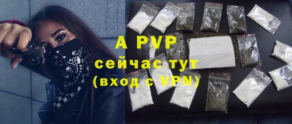прущие крисы Абаза