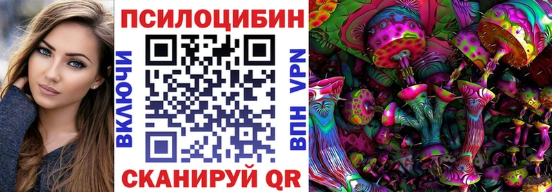 купить наркоту  Каменногорск  Галлюциногенные грибы мухоморы 
