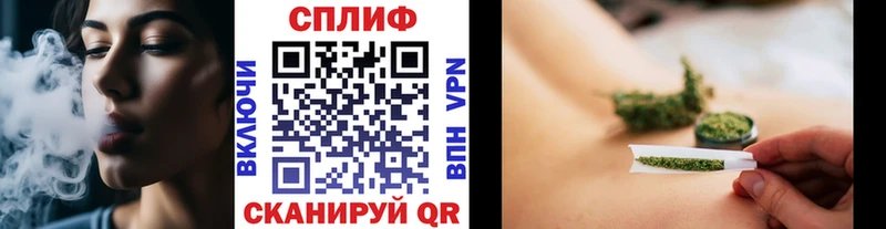 где купить наркотик  Каменногорск  Каннабис Bruce Banner 